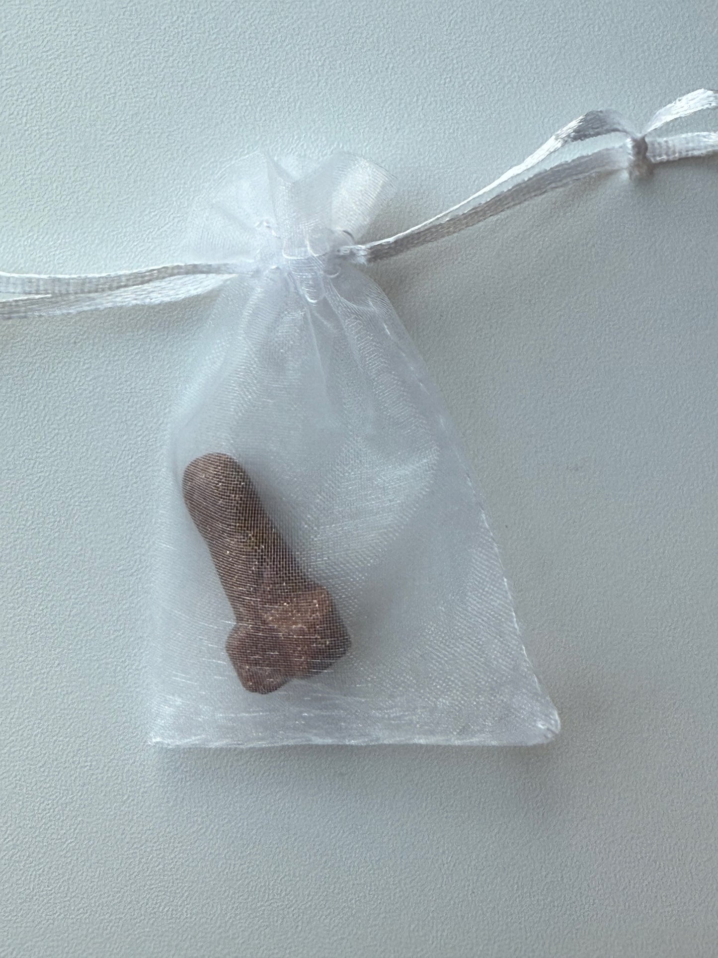 Lucky Pocket Dick